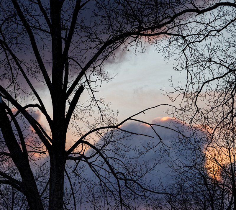 Sunset in the suburbs
