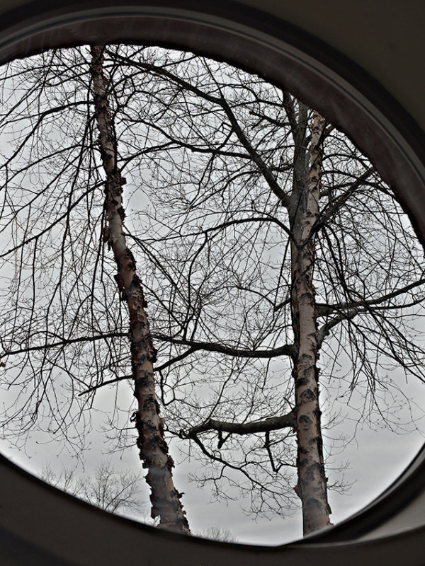 Through an oval window