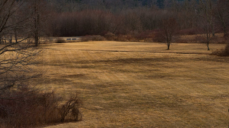 A field in January