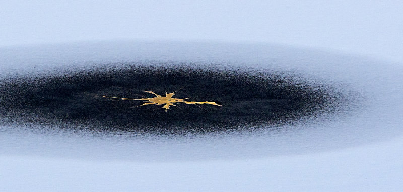 Leaf in ice