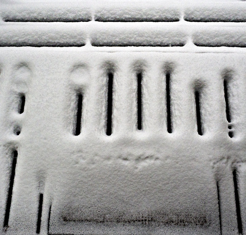 Winter textures, shapes and patterns - February in Connecticut