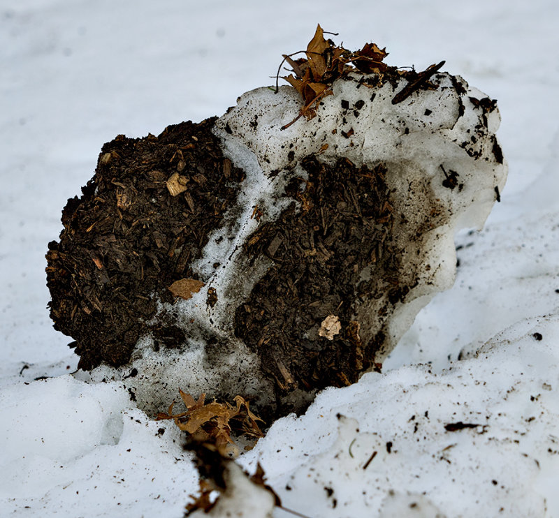 February in Connecticut