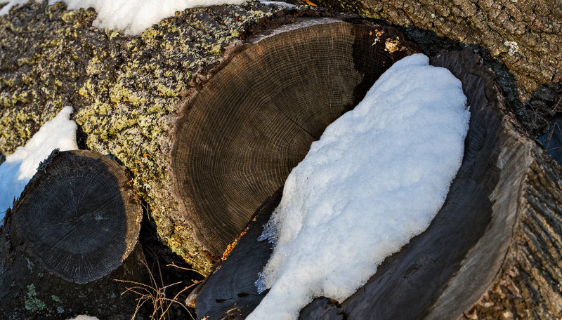 February in Connecticut