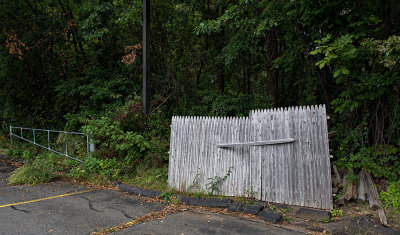 Remnants of fences