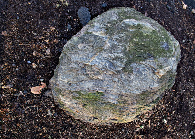  A rock