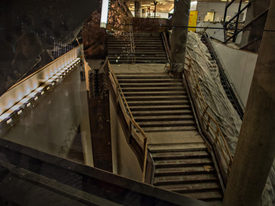 Survivor's Staircase