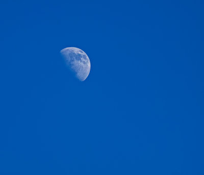 First quarter Moon - 8 days - 61% visible