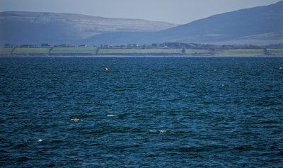 From Salthill.