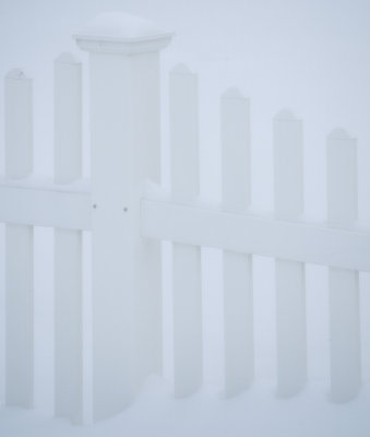 Snow and White Fence 