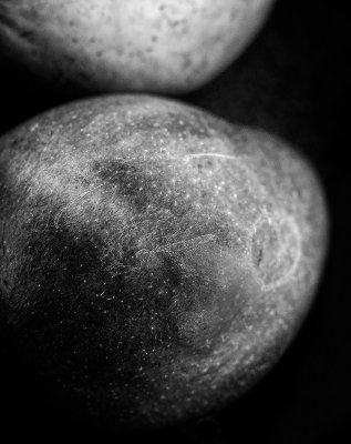 Mangoes as 'astronomical' bodies.