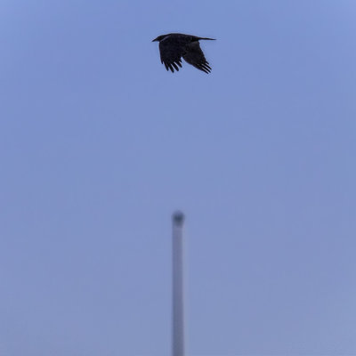 Above the mast.