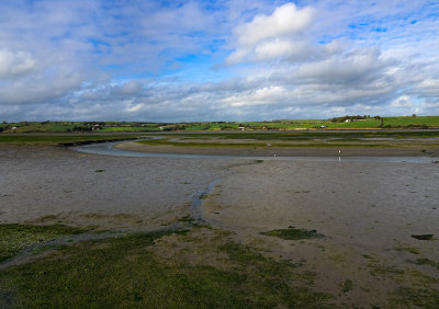 Low Tide