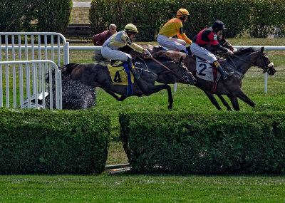 Jockey and horse fall - 1st race - September 2, 2015, Saratoga Race Course