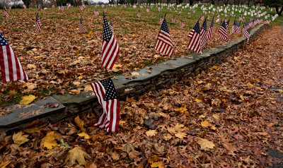Veterans Day - The Fallen