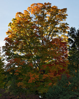 October in Connecticut