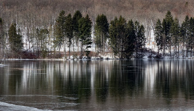 Winter reflections on ice