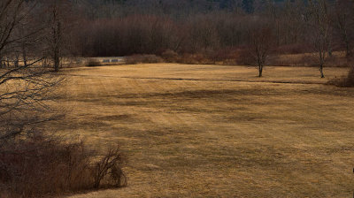 A field in January