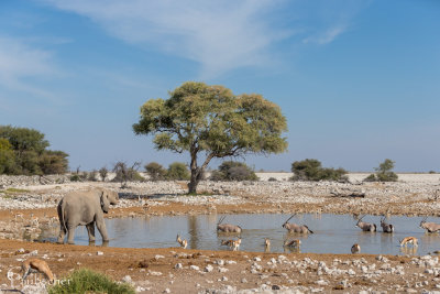 Namibia 2016