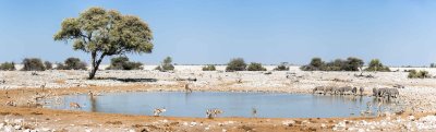 7O5A1743-Pano-Edit-Small.jpg