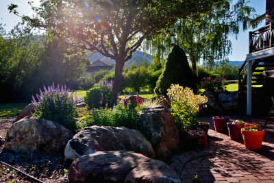 8303 Patio flowers