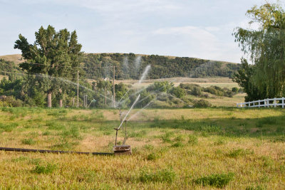 8341 Irrigation.jpg