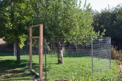 8383 Apple security fence