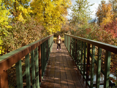 0873 Sage on bridge.jpg