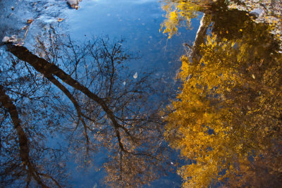 8498 Fall colors 2013 - River reflection from the bridge 