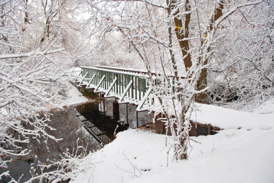 8536 Bridge