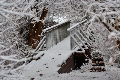 8963 Snow Bridge.jpg