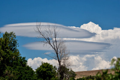 9358  Lenticular clouds in front of cumulas clouds