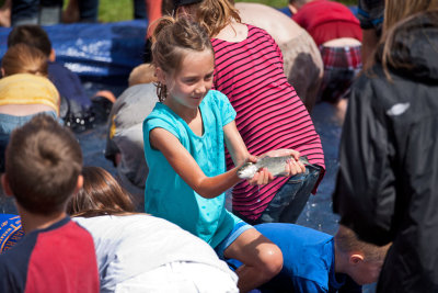 9624 Paradise trout and berry day.jpg