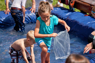 9629 Paradise trout and berry day.jpg