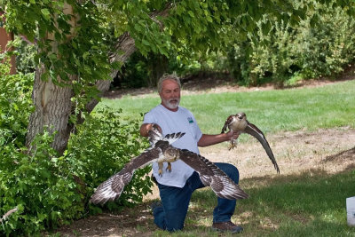 0996 Raptor release