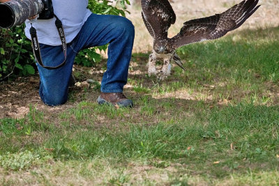 1014 Raptor release