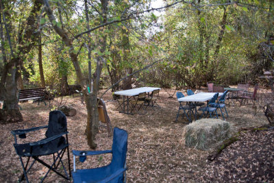 1411 BBQ 2015