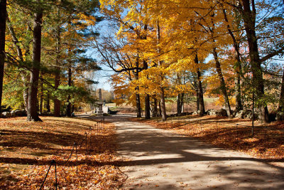 1562 Concord Mass 2015.jpg