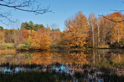 1566 Goffstown, New Hampshire 2015