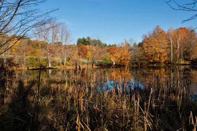1567 Goffstown, New Hampshire  2015