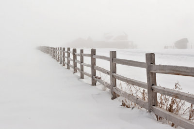 2029 foggy fence