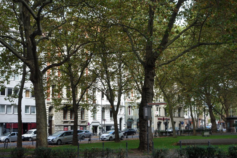 DSC03146.JPG