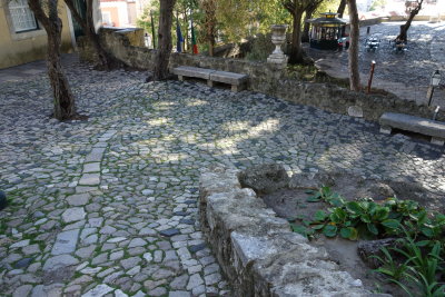 DSC00541.JPG
