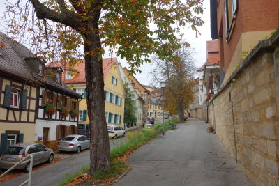 DSC02615.JPG