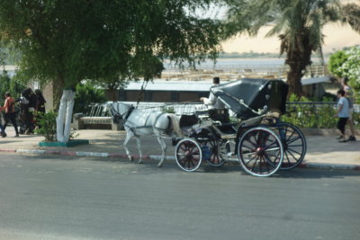 Aswan