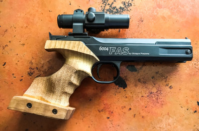 FAS 6004