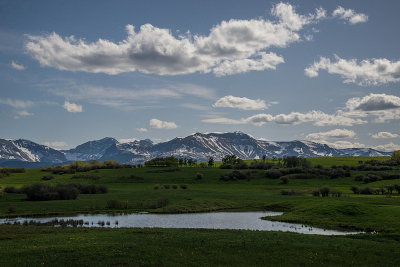 Early Spring