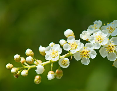 Spring Is In The Air