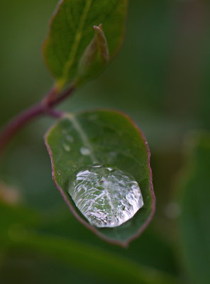 Raindrops Keep Fallin' On My Head