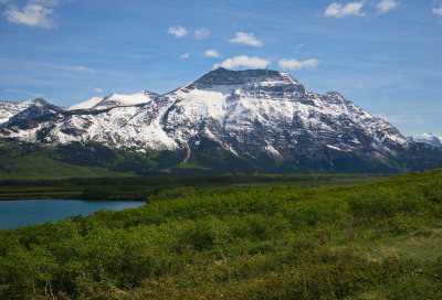 Waterton Spring