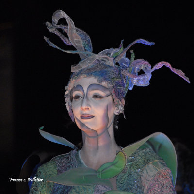 :: Les chemins invisibles Cirque du Soleil ::